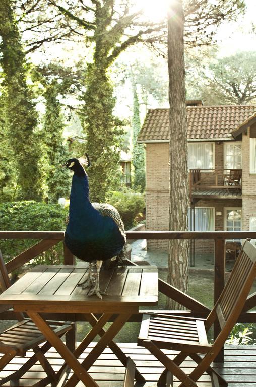 Carilo Village Apart Hotel&Spa Camera foto